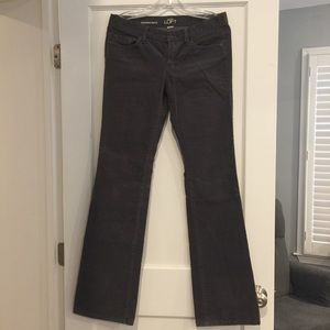 Dark Grey Bootcut Corduroy Jeans